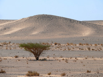 Similar image 8318306