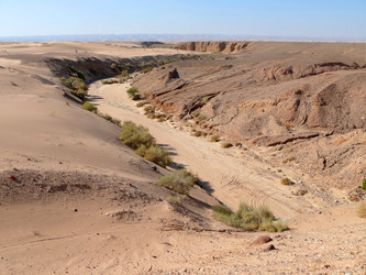 Similar image 8318310