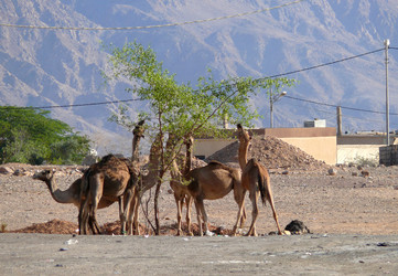 Similar image 8318311