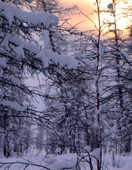 Similar image 8318323