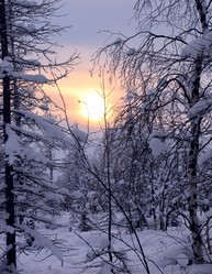 Similar image 8318324