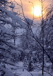 Similar image 8318325