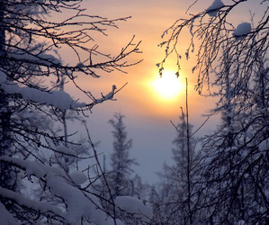 Similar image 8318326