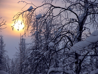 Similar image 8318327