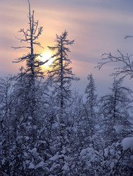 Similar image 8318328