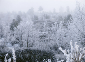 Similar image 8318331