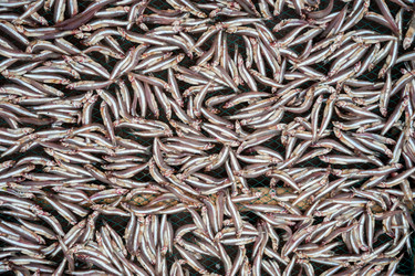 Similar image 8318810