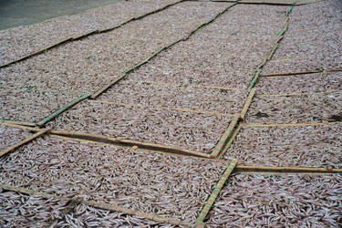 Similar image 8318811