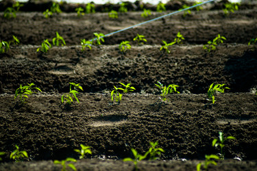 Similar image 8318836