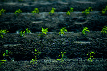 Similar image 8318837