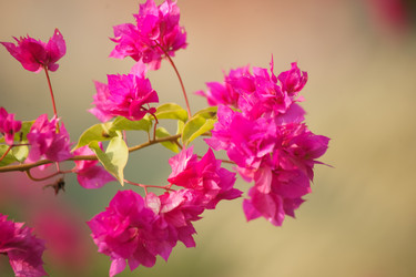 Similar image 8318840