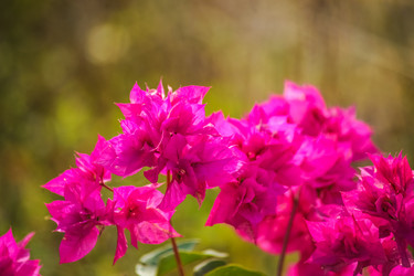 Similar image 8318841