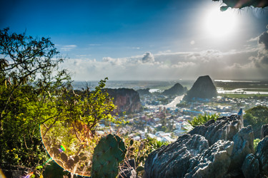 Similar image 8318842