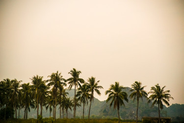 Similar image 8318845