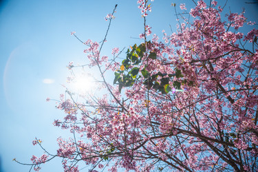 Similar image 8318871