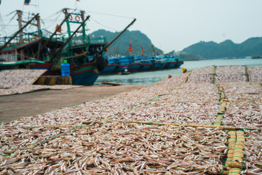 Similar image 8318872