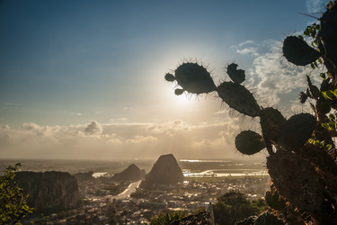 Similar image 8318874