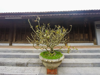 Similar image 8318876