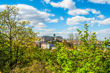 Similar image 8318961