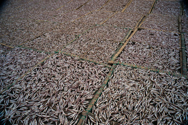 Similar image 8318965