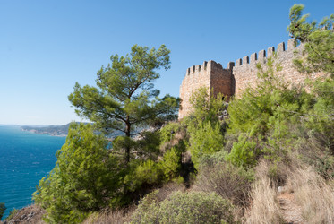 Similar image 8318994