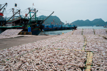 Similar image 8319212