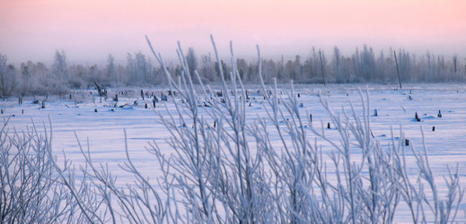 Similar image 8319285