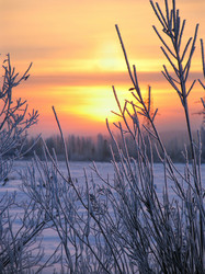 Similar image 8319286