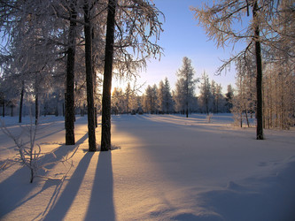 Similar image 8319423