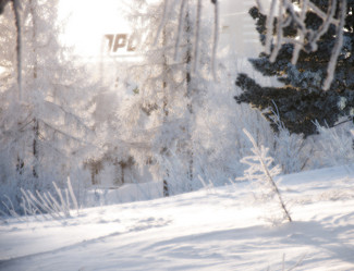 Similar image 8319445