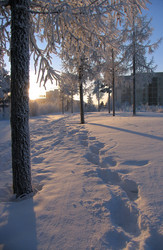 Similar image 8319447