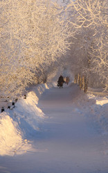 Similar image 8319449