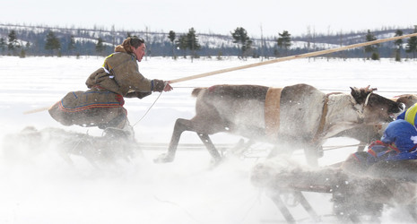 Similar image 8319493