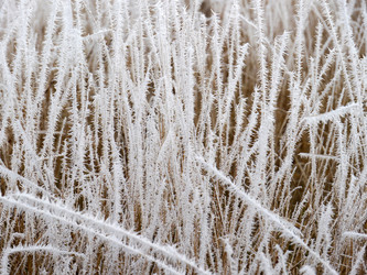 Similar image 8319497