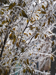 Similar image 8319498