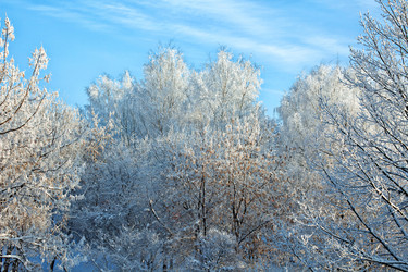 Similar image 8320057