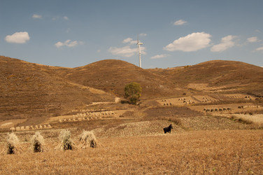 Similar image 8320692