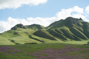 Similar image 8320699