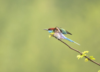 Similar image 8320709