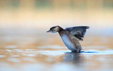 Similar image 8320710