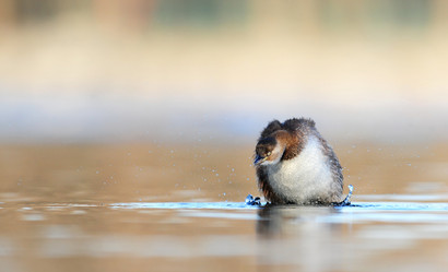 Similar image 8320711