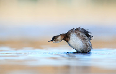 Similar image 8320721