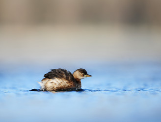 Similar image 8320722