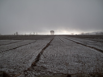 Similar image 8320725