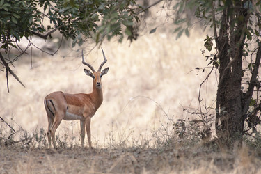 Similar image 8320739