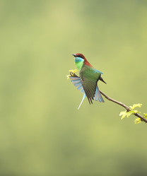 Similar image 8320740