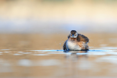 Similar image 8320742