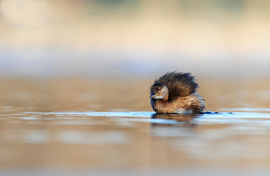 Similar image 8320743