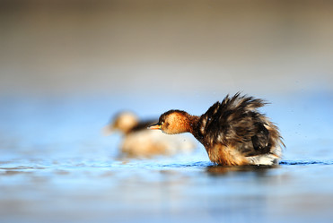 Similar image 8320744