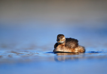 Similar image 8320745